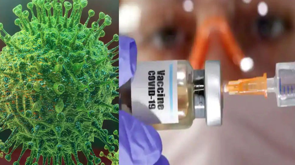 Scientists made ditto Coronavirus partical, which will stop real Covid-19 and kill him | खुशखबरी: वैज्ञानिकों ने की सेम टू सेम Coronavirus जैसे पार्टिकल की ईजाद; जो Covid-19 को रोकेगा और मार देगा