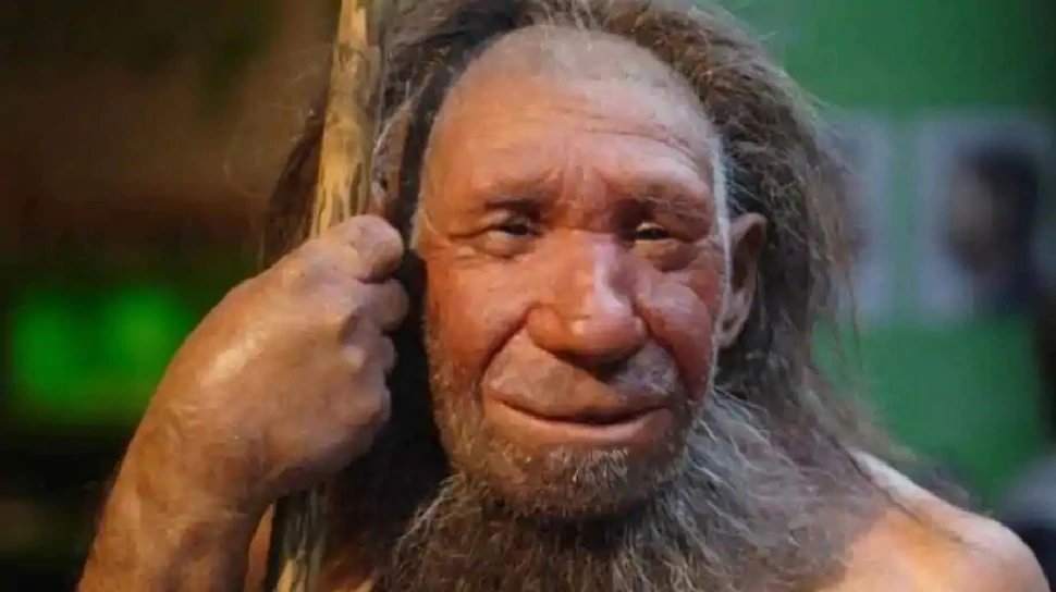 41 thousand year old Neanderthal skeleton is set to reveal reason behind bury dead in stone age | 41 हजार साल पुराने निएंडरथल मानव के कंकाल से सुलझेगी मृतकों को दफन करने की गुत्‍थी