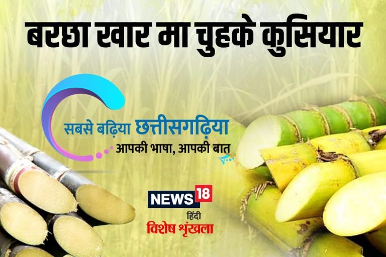 छत्तीसगढ़ी में पढ़ें- बरछा खार मा चुहके कुसियार