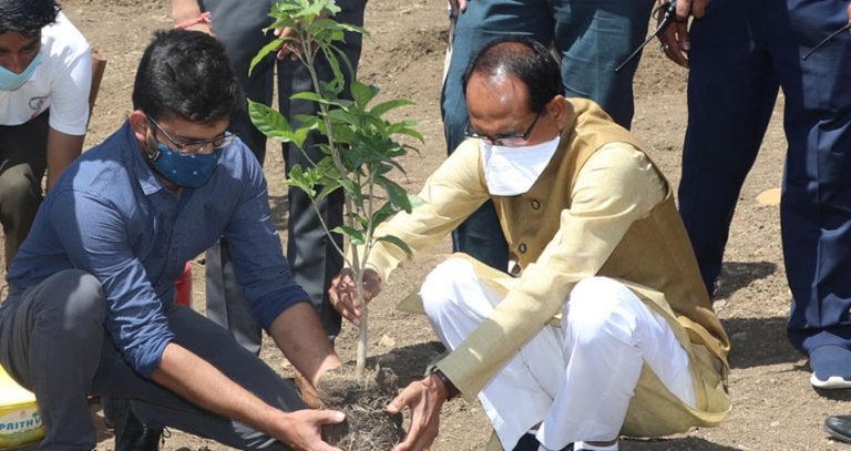 मुख्यमंत्री श्री चौहान ने रोपा चांदनी का पौधा