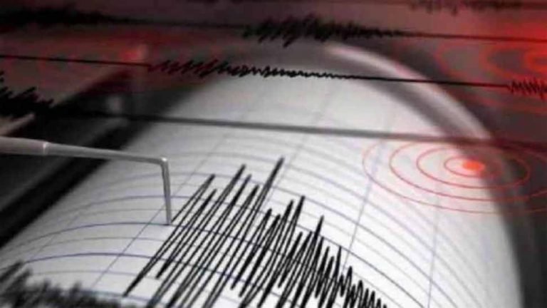 Earthquake in New Zealand: Tsunami warning after 8.1 pacific quake in New Zealand | Earthquake in New Zealand: आया 8.1 की तीव्रता का भूकंप, सुनामी की चेतावनी जारी