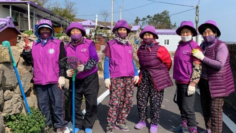 south korean islands drenched in purple, here’s the detail | Purple Islands: अपने आप में अनूठा है South Korea का ये आईलैंड, घरों को छोड़कर यहां सब कुछ बैंगनी