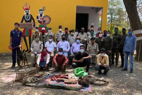 वन विभाग की टीम ने शिकारियों को मारे गए नर चीतल के शव और शिकार में इस्तेमाल किए जाने वाले अन्य सामानों के साथ पकड़ा है