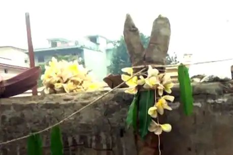 छत्तीसगढ़ के कोंडागांव में आदिवासियों में जारी है अनूठी परंपरा. 