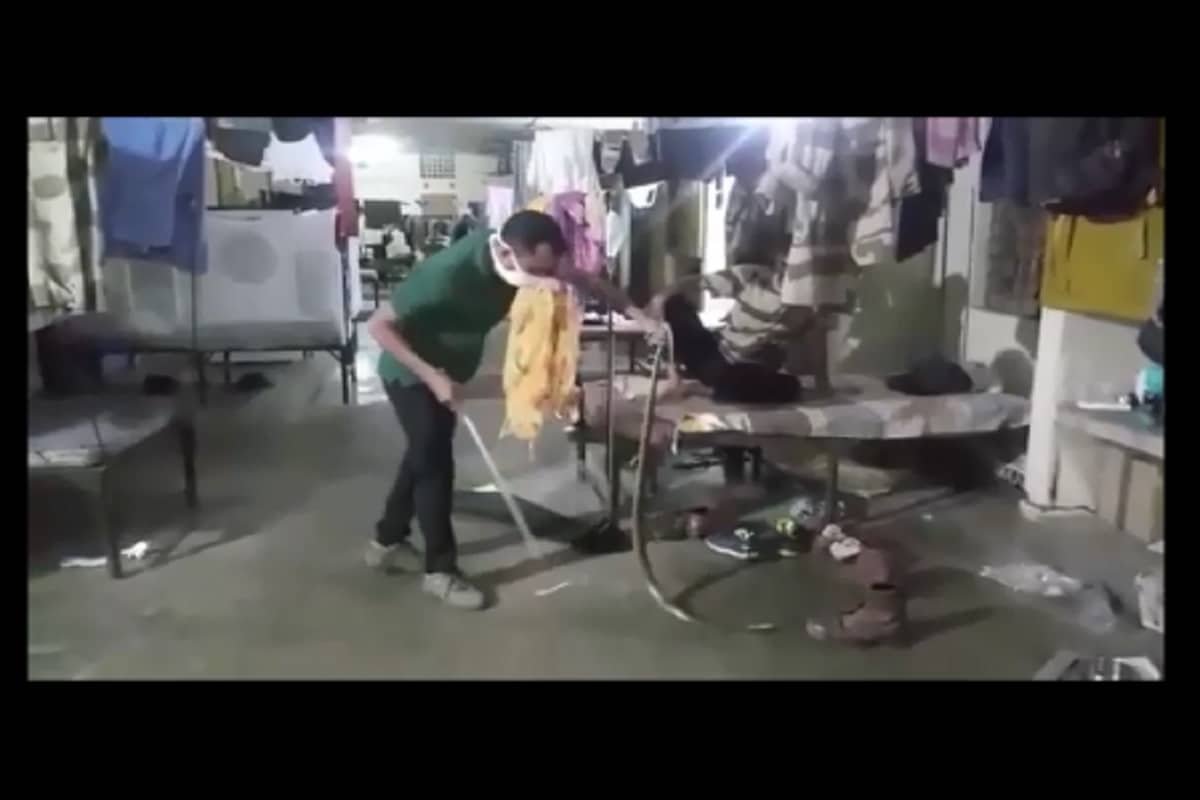  क्योंकि वो भी हमारी प्रकृति का एक हिस्सा है. उन्होने सांपों को देख धबराए बगैर किसी अनुभवी को सूचना देने की बात कही. इनका कहना है कि सांपों से छेड़छाड़ करने से इसके दुष्परिणाम भी सामने आ सकते हैं.