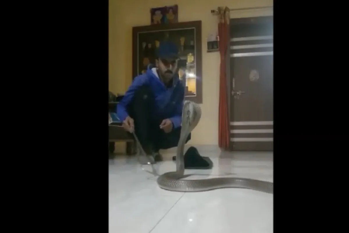 ऐसे में  किसी तरह से अपनी जान बचाकर भागे किरण साहू ने फिर बाथरूम में पलटकर तक नहीं देखा। होश संभालने के बाद उन्होने तत्काल अपनी पत्नी पेशे से नर्स संजू साहू को जानकारी दी. उन्होंने बड़े ही सूझबूझ से सांपों के संरक्षण की दिशा में कार्य करने वाले अजय कुमार को इसकी जानकारी दी.