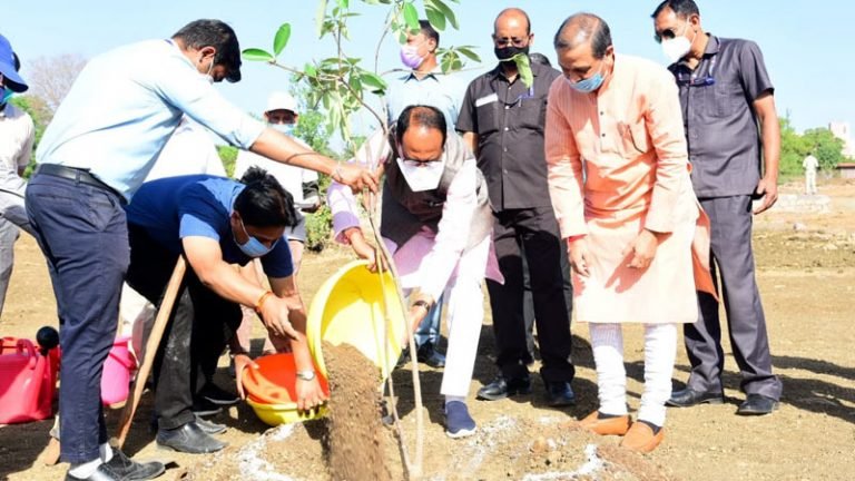 मुख्यमंत्री श्री चौहान ने स्मार्ट उद्यान में सप्तपर्णी का पौधा रोपा