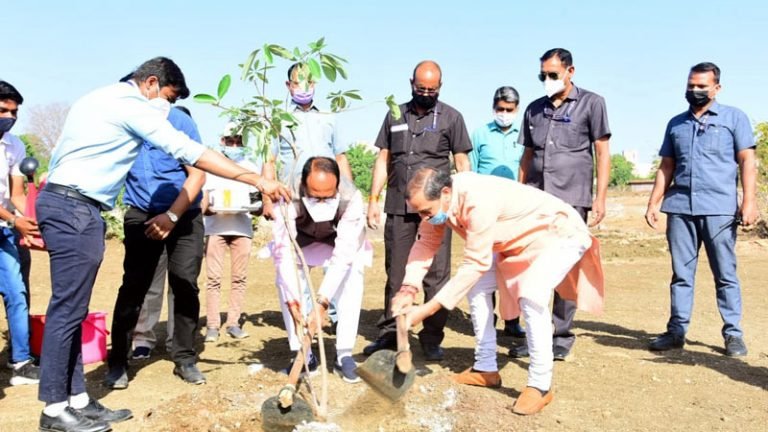 मुख्यमंत्री श्री चौहान ने स्मार्ट उद्यान में सप्तपर्णी का पौधा रोपा