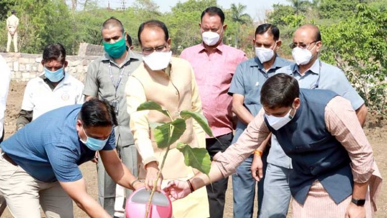 मुख्यमंत्री श्री चौहान ने पीपल का पौधा लगाया