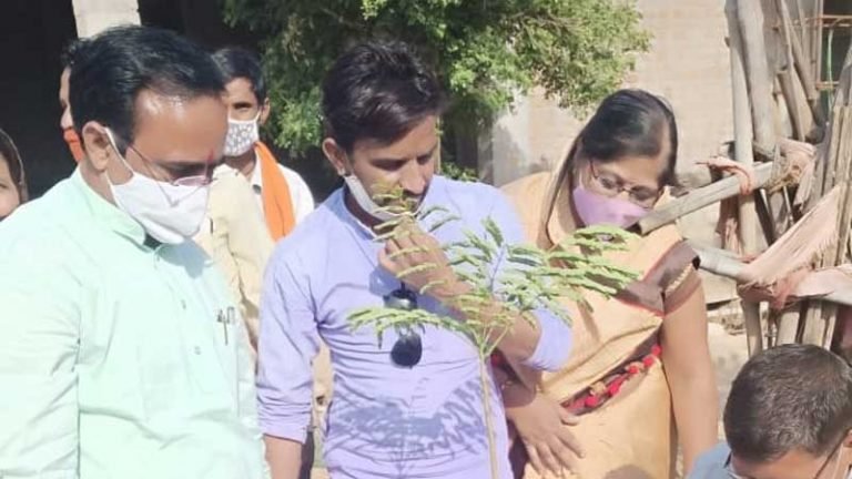 बीजेपी के स्थापना दिवस पर राज्य मंत्री श्री यादव ने किया पौधारोपण