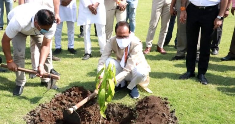 मुख्यमंत्री श्री चौहान ने आम का पौधा लगाया