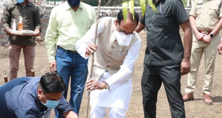मुख्यमंत्री श्री चौहान ने रोपा अशोक का पौधा