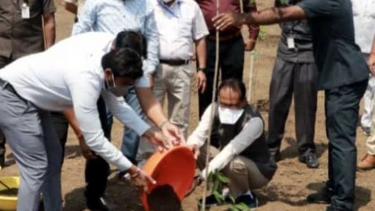 मुख्यमंत्री श्री चौहान ने मौलश्री का पौधा लगाया