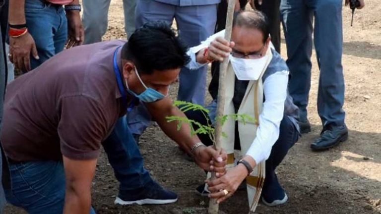 मुख्यमंत्री श्री चौहान ने गुलमोहर का पौधा लगाया