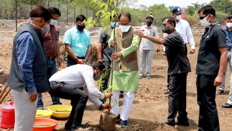 मुख्यमंत्री श्री चौहान ने लगाया अशोक का पौधा