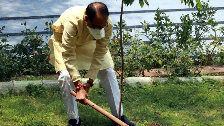 मुख्यमंत्री श्री चौहान ने मुख्यमंत्री निवास में मौलश्री का पौधा रोपा