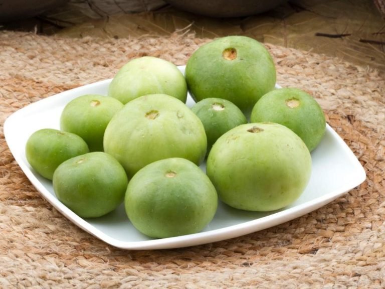 reasons to eat tinda: Summer Diet: टिंडे की सब्जी का नाम सुनते ही बन जाता है मुंह, तो पहले जान लीजिए इसके 8 लाजवाब फायदे – tinda indian round gourd health benefits nutrition uses for skin hair weight loss and recipes