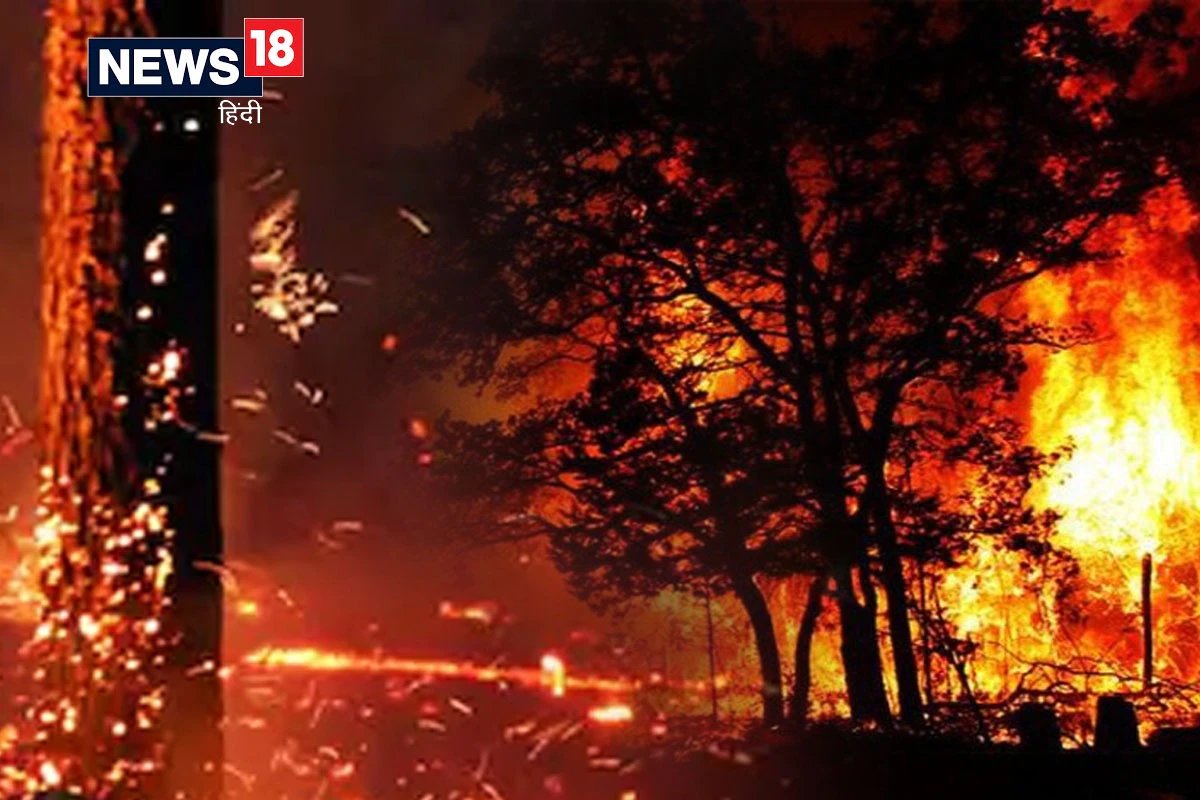 MP News: जंगलों में आग से खतरे में पर्यावरण और वन्यप्राणी, चौकन्ना रहने का वक्त