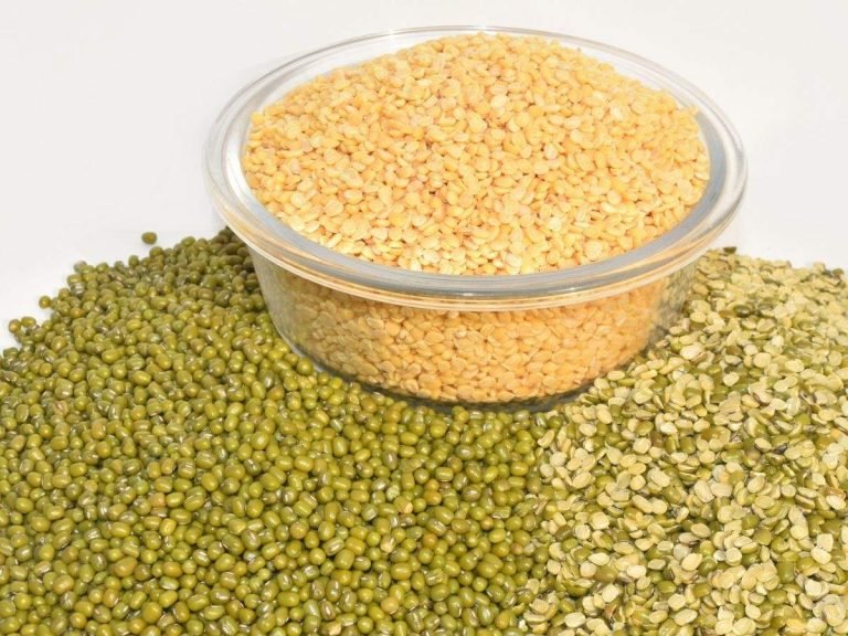 benefits of moong dal: डाइट में शामिल करें मूंग दाल, इम्युनिटी होगी बूस्ट और वजन होगा कम – add moong dal to your daily diet to boost immunity and weight loss