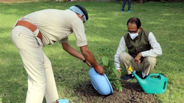 मुख्यमंत्री श्री चौहान ने सिकंद्रा का पौधा रोपा