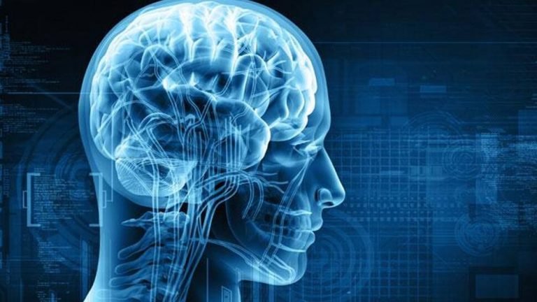 Mysterious brain disease that resembles deadly Mad Cow Disease kills 5 in Canada | अब Mad Cow Disease जैसी रहस्यमय दिमागी बीमारी से Canada में दहशत, अब तक 5 की मौत, 43 संक्रमित