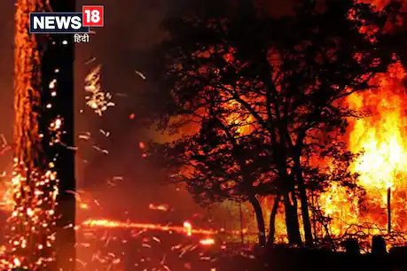 एमपी, छत्तीसगढ़, झारखंड और उत्तराखंड समेत देश के अन्य राज्यों के जंगलों में आग से पर्यावरण को लेकर चिंताएं बढ़ीं.