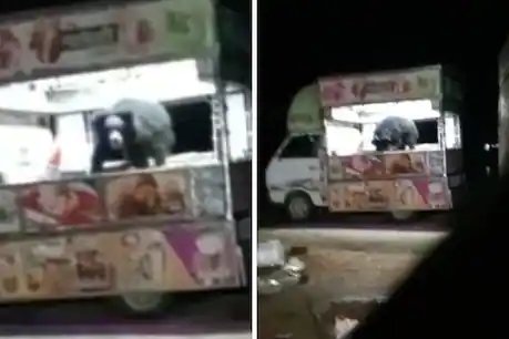 Kanker Viral Video: कांकेर में ठेले पर आइसक्रीम खाते भालू का वीडियो हो रहा वायरल.