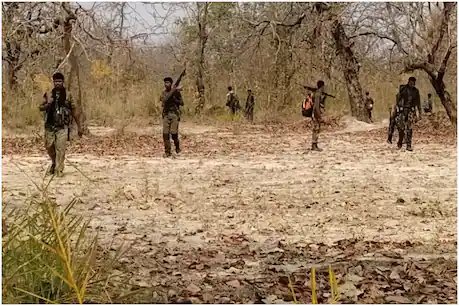 बीजापुर सुकमा के बीच हुई मुठभेड़ में एक महिला कमांडर समेत 12 माओवादी मारे गए हैं.