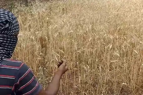 प्रतीकात्मक तस्वीर