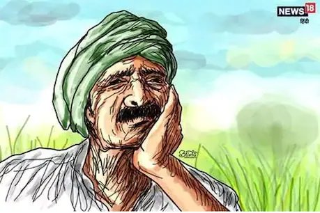 बेमौसम बरसात से फसलों को नुकसान, किसान चिंतित. (सांकेतिक फोटो) 