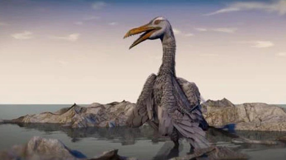 Birds’ brains may explain why they survived longer than other dinosaurs | US: डायनासोर की तुलना में पक्षी ज्‍यादा जीवित क्‍यों रहे? मिल गया जवाब!