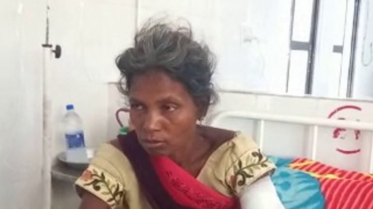 Interesting old women fight with dangerous bears to save husband life amazing story Korba mpns