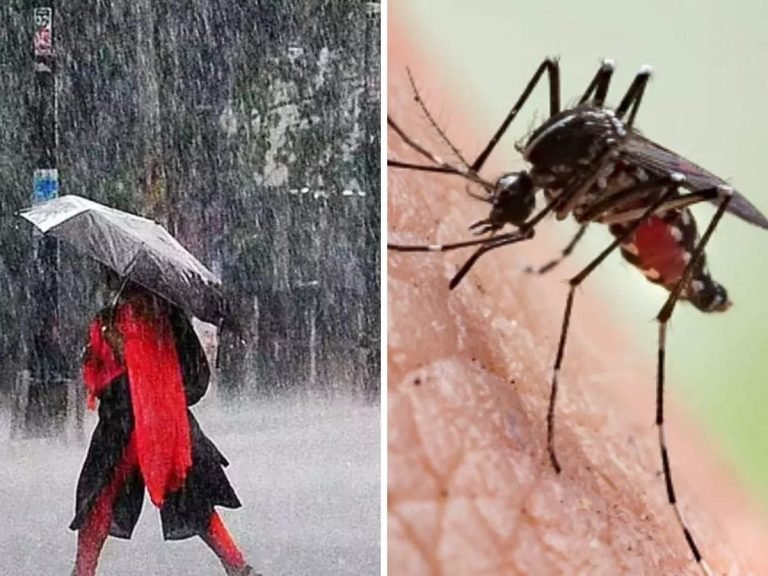 how we improve our digestion in rainy season, Monsoon Health Tips: डेंगू-मलेरिया का बढ़ा अटैक, आयुर्वेद के ये 7 उपाय बारिश के दिनों में बीमारियों को रखेंगे कोसो दूर – these 7 tips and trick of ayurveda will help to keep rainy season diseases at bay