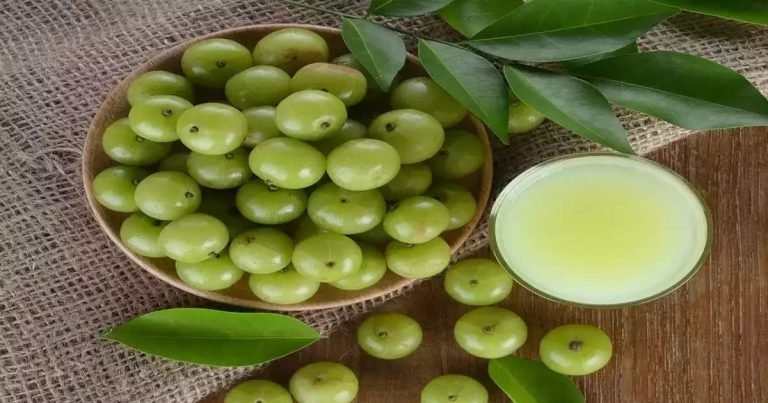 रोजाना सिर्फ 20 ml आंवला रस, Ayurveda डॉक्टर ने माना-डायबिटीज-कोलेस्ट्रॉल जैसे 10 रोगों की छुट्टी – according ayurveda doctor drink amla juice to get rid diabetes and cholesterol