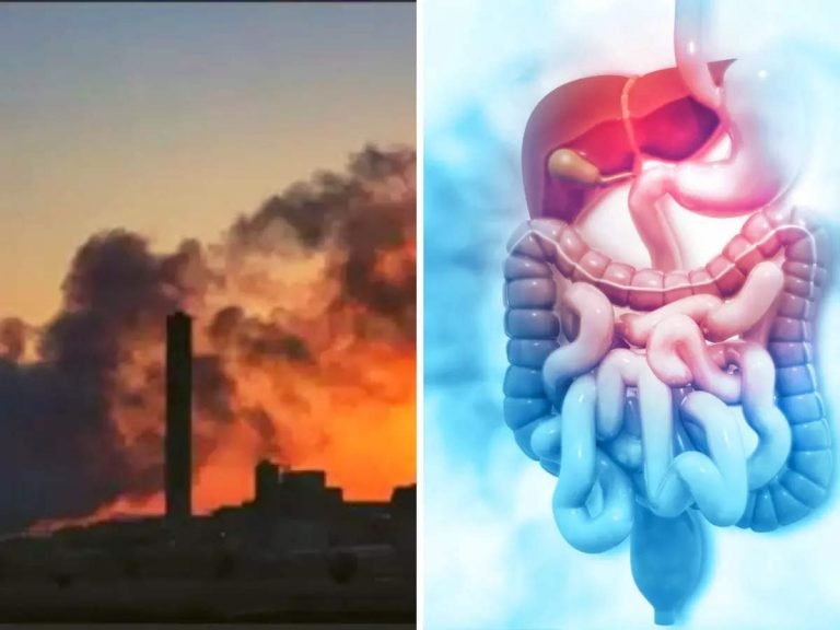 Air pollution से फेफड़े ही नहीं ये अंग भी हो रहे हैं खराब, इन 4 उपायों से कम कर सकते हैं जोखिम – according to ncbi many studies suggest air pollution can be reason of autism in male child
