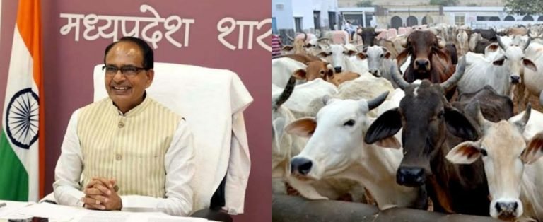 देसी गाय पालें, 900 रुपये महीना सरकार से लें और खाद भी बेचें