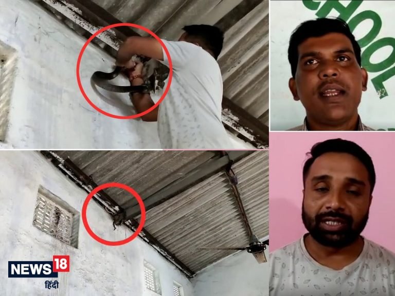 CG: अचानक स्कूल की क्लास में घुस गया भुजंग सांप, देखते ही मच गई भगदड़, पढ़ें कैसे किया रेस्क्यू