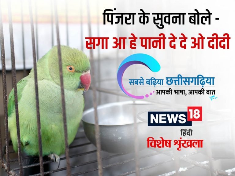 छत्तीसगढ़ी म पढ़व- पिंजरा के सुगना बोले- सगा आ हे पानी दे दे ओ दीदी