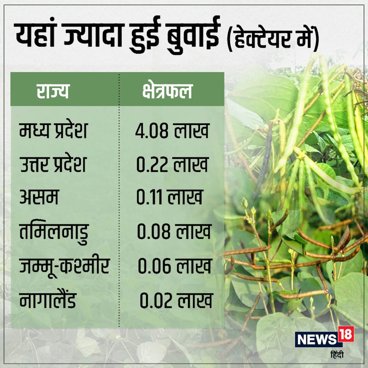 Crop Weather Watch report, india agriculture report, imd data, news 18 data story, धान का रकबा, देश में कहां-कहां होती है धान की बुवाई, मानसून सीजन, मानसून की कमी का असर, मौसम विभाग की रिपोर्ट, दलहन फसल, तिलहन फसल का रकबा, खरीफ सीजन, धान की बुवाई, बारिश की कमी का खेती पर असर, क्रॉप वेदर वॉच रिपोर्ट, kheti-kisani, agro data story, monsoon report, draught and flood,