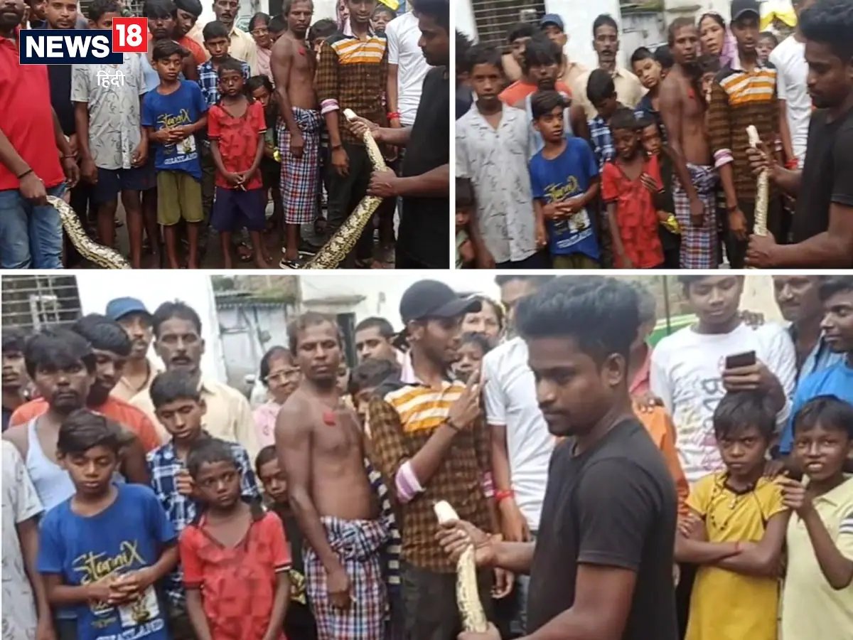 कॉलोनी में आराम फरमा रहा था 9 फीट का अजगर, देखने वालों के छूटे पसीने; मच गई भगदड़