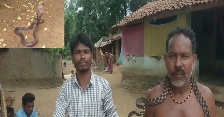 OMG! एक ऐसा समाज जो बेटियों की शादी में वर पक्ष को देता है 21 सांप, जानिये क्या है परंपरा