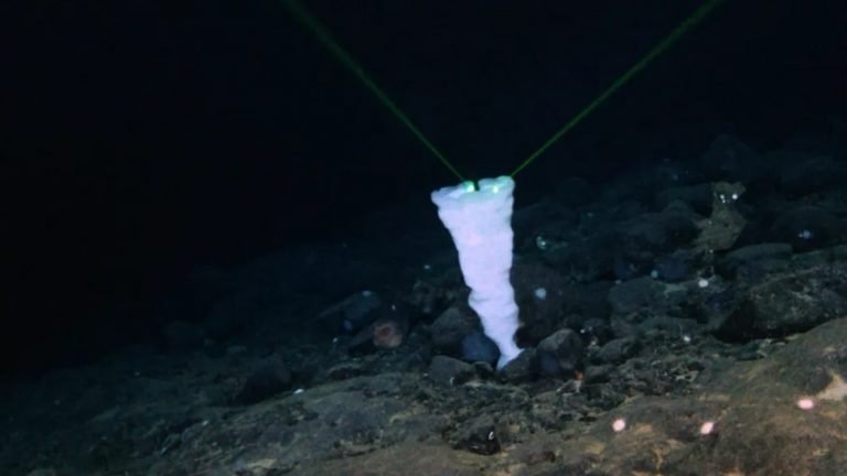 Mystery of strange sonar blip heard near Titanic wreckage is finally solved | Mysterious Signal near Titanic: टाइटैनिक के करीब 26 साल पहले मिला था सिग्नल, अब वैज्ञानिकों के हाथ लगी ये कीमती चीज