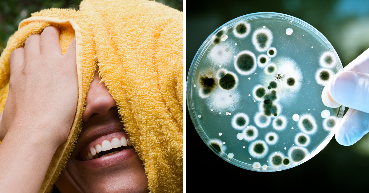 How Often Should You Wash Your Towels? Benefits and Tips No2 Politics