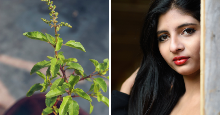 Ayurvedic treatment for skin, आयुर्वेद भी मानता है तुलसी की पत्तियों की ताकत, यूं लगाएं और 7 दिन के अंदर बढ़ाएं निखार – how to use tulsi to remove acne and other skin problems for getting flawless fair face in 7 days