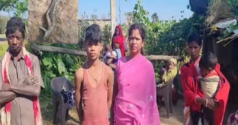 जहरीले नाग ने डंसा तो बच्चे को आया गुस्सा, पलटकर काटा तो सांप मर गया, जानें क्यों हुआ ऐसा?