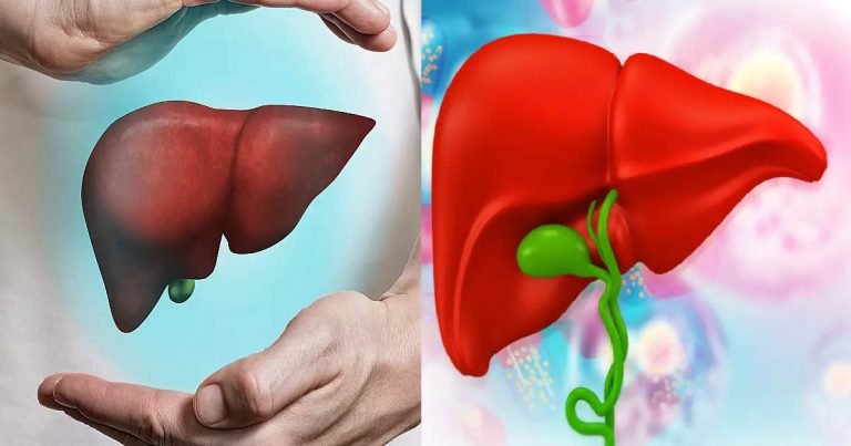 Liver Detox Naturally: लिवर का हर कोना साफ कर देंगी ये नैचुरल चीजें, 10 लक्षण से पहचानें डिटॉक्स की जरूरत – liver detox tips know how to clean liver naturally and symptoms that indicate its need