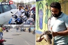 छत्तीसगढ़ः DFO बंगले में सांप निकला तो बाइपास रोड पर अजगर आने से लगा जाम