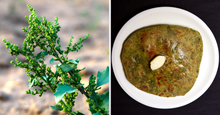 Diabetes Food: खून की नलियों से फालतू शुगर निकाल देता है बथुआ, ठंड में खाने से खुद दूर रहते हैं 30 रोग – ayurvedic dr abrar multani believes bathua can lower extra blood sugar janiye bathua ke fayde