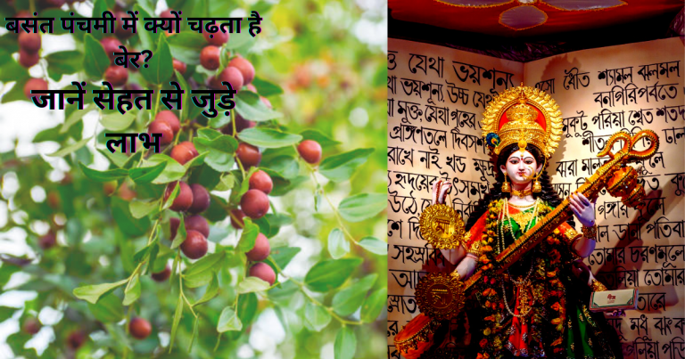 Basant Panchami में ज्ञान की देवी सरस्वती को चढ़ता है ये खट्टा फल, खाने से तेज होगा दिमाग ये 5 रोग रहेंगे दूर – basant panchami 2023 jujube is a brain fruit know more about its health benefits