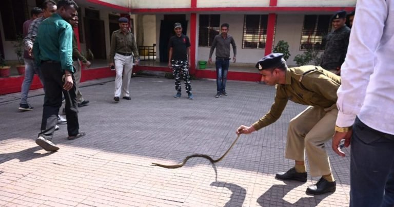 Korba News: सांप काटे तो झाड़-फूंक नहीं बस 112 डायल करें, आपको बचाएंगे पुलिस के जवान